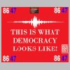 THIS_IS_WHAT_DEMOCRACY_LOOKS_LIKE.PNG