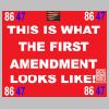 THIS_IS_WHAT_FIRST_AMENDMENT_LOOKS_LIKE.PNG